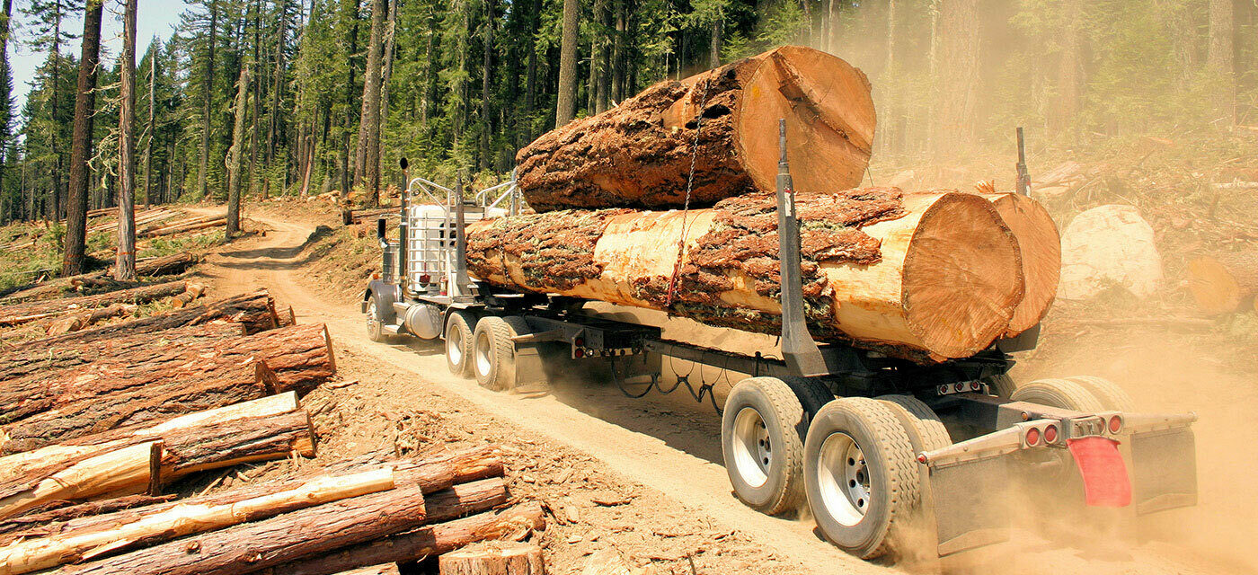 A heavy duty semi truck hauling three large logs
