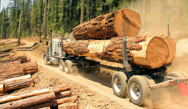 A heavy duty semi truck hauling three large logs
