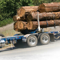 A blue semi truck hauling logs